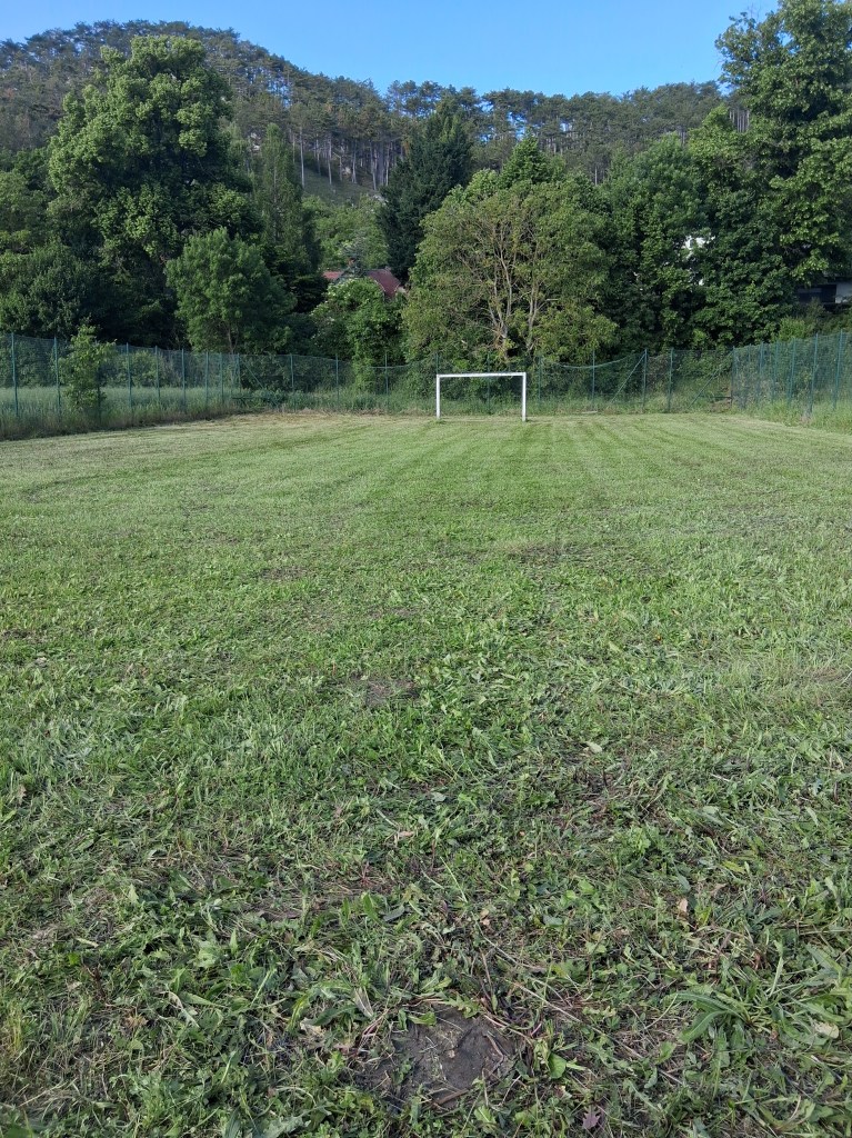Die Wildnis schlägt zu, der Zaun durch das Gewicht von Gestrüpp und Lianen umgestürzt. Durch mühevolle Handarbeit und Kraftaufwand wurden diese entfernt und die Zaunstangen neu gesetzt, der Rasen gemäht und so sieht alles schon ganz anders aus